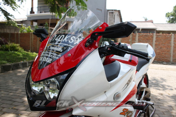 Elegant Sporty Ninja 250R